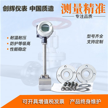 蒸汽渦街流量計